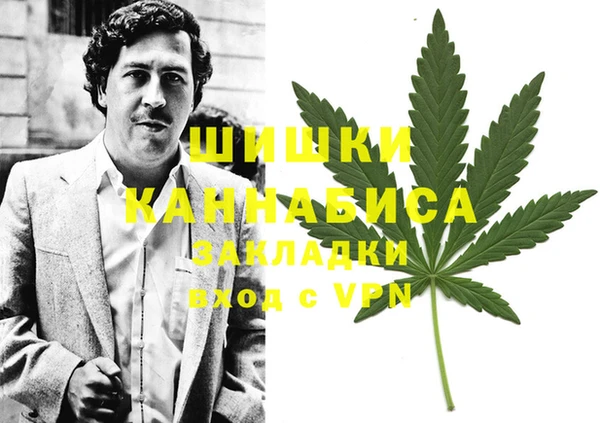 мяу мяу мука Баксан